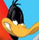  Daffy duck www.Daffyduck.nl Daffyduck.nl Daffyduk 